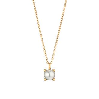 Delight Collier